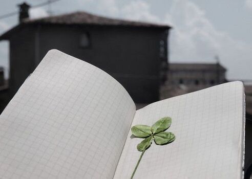 Le trèfle à quatre feuilles, un talisman porte-bonheur